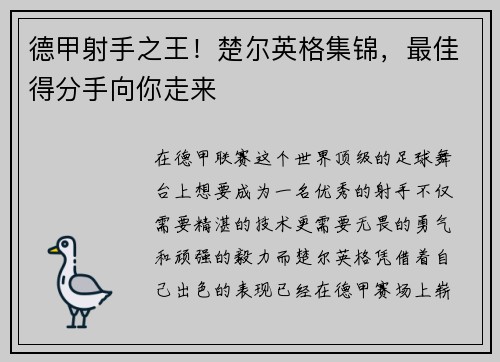 德甲射手之王！楚尔英格集锦，最佳得分手向你走来